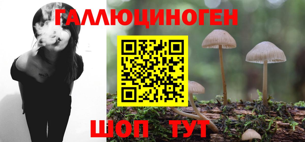 Галлюциногенные грибы MAGIC MUSHROOMS  Галлюциногенные грибы мухоморы  Королёв  Вход с VPN 